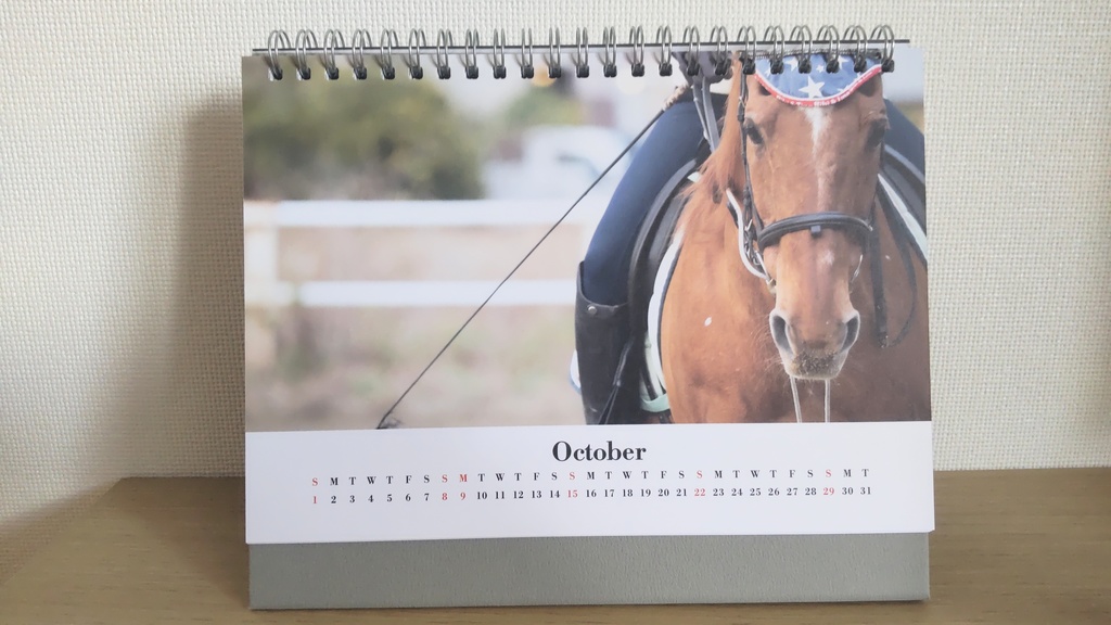 【年末チャリティー】2023年 茶太郎いっぱいカレンダー