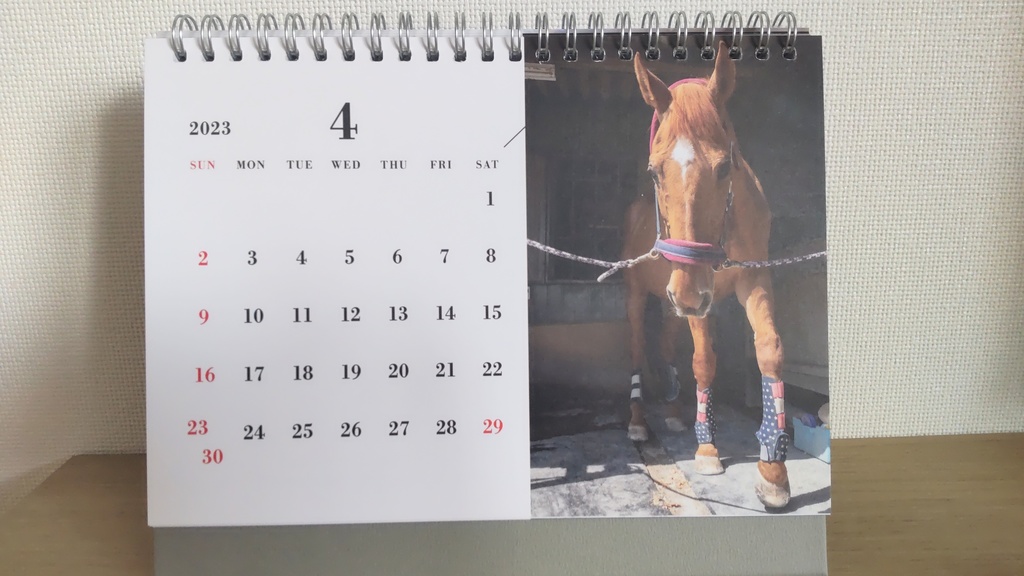 【年末チャリティー】2023年 茶太郎いっぱいカレンダー