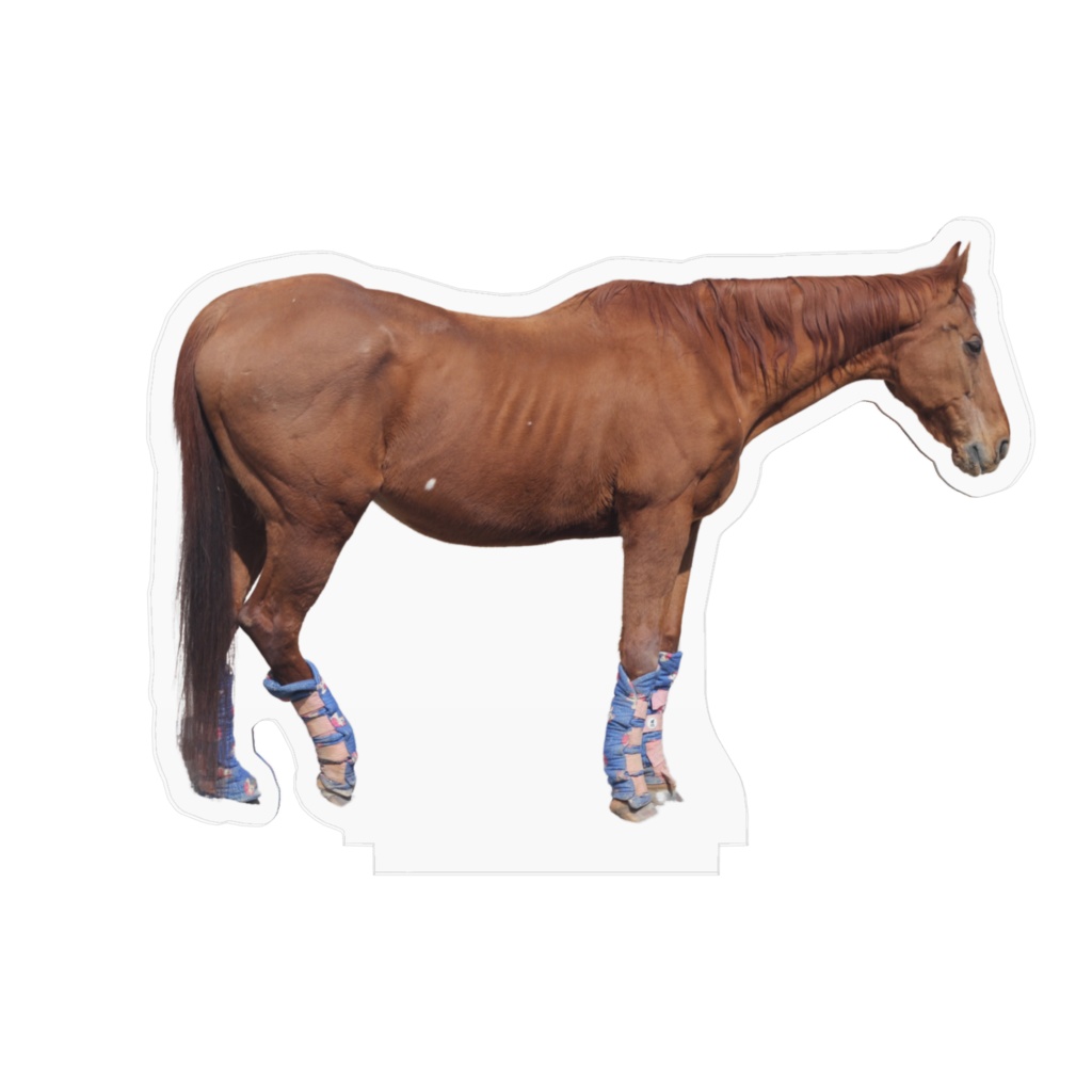 茶太郎アクスタ 横向き10x10cm