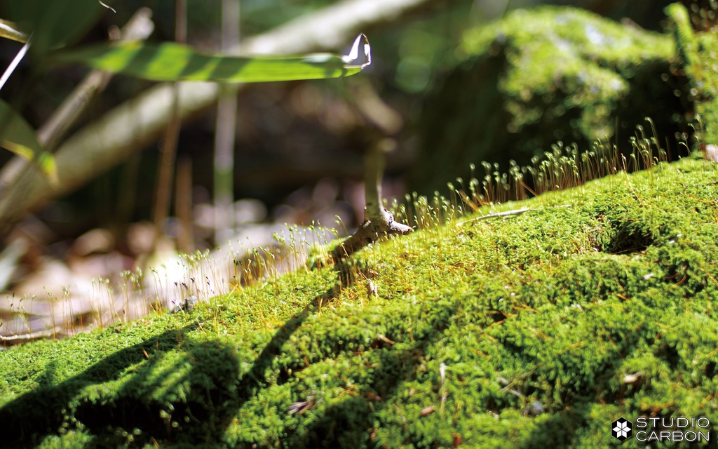 デスクトップ壁紙集 Vol.1