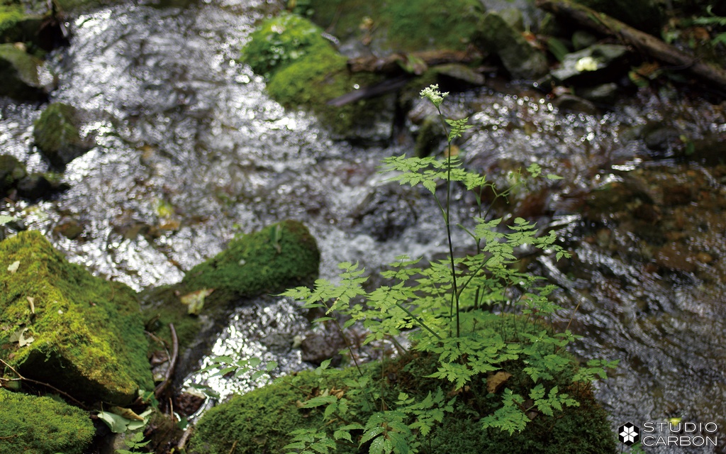 デスクトップ壁紙集 Vol.1