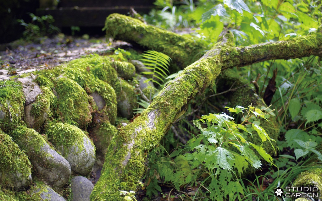 デスクトップ壁紙集 Vol.1