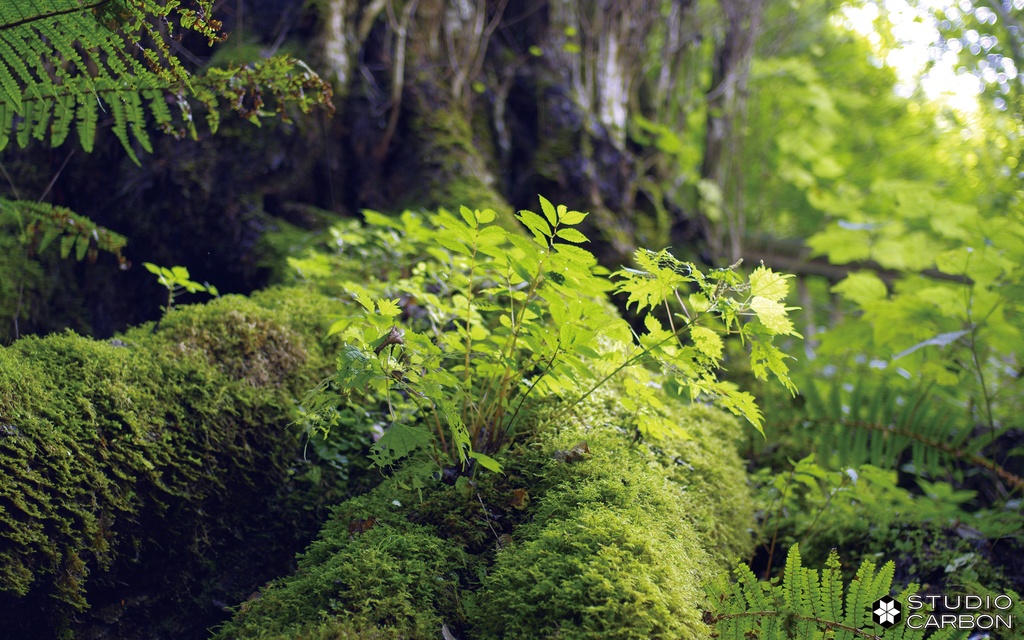 デスクトップ壁紙集 Vol.1