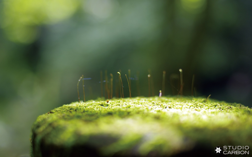 デスクトップ壁紙集 Vol.1