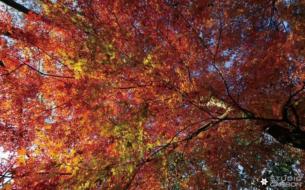 デスクトップ壁紙集 Vol.1