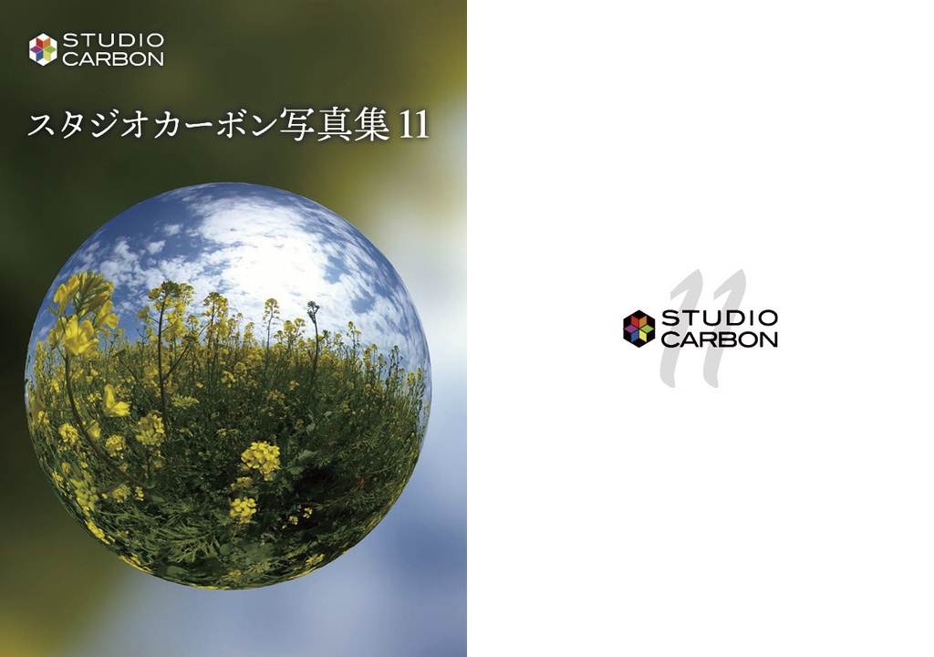 ArgentumCCD Vol.11