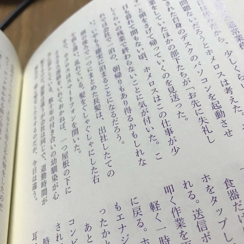 【あんしんBOOTHパック】星を隠すもの