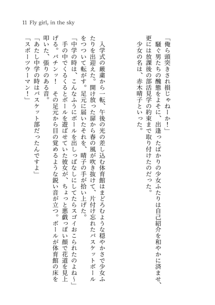Fly girl, in the sky 1(文庫)