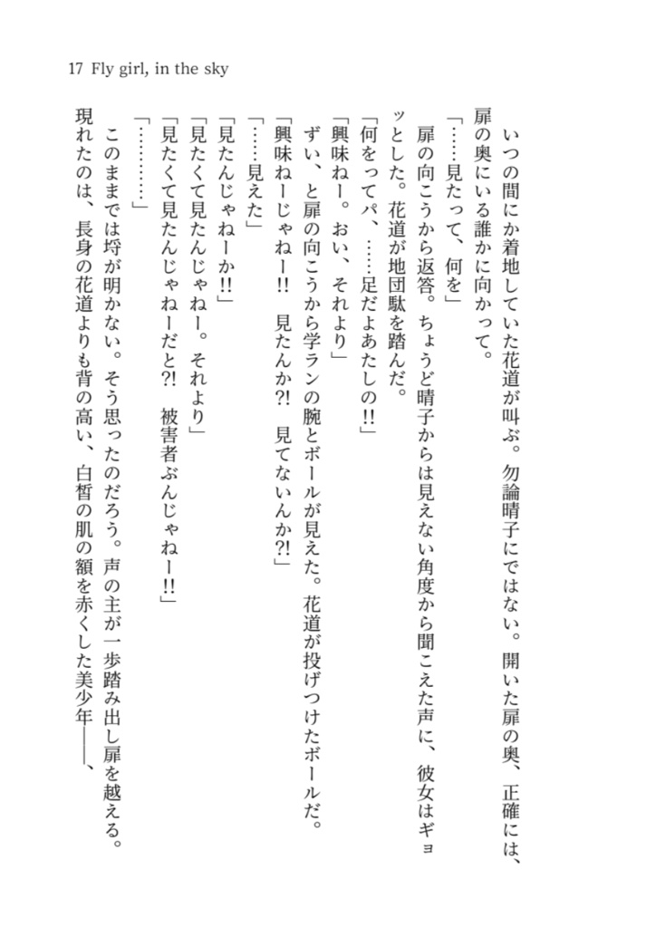 Fly girl, in the sky 1(文庫)