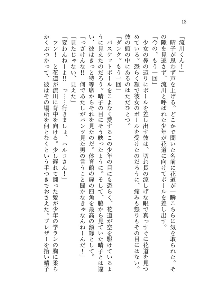 Fly girl, in the sky 1(文庫)