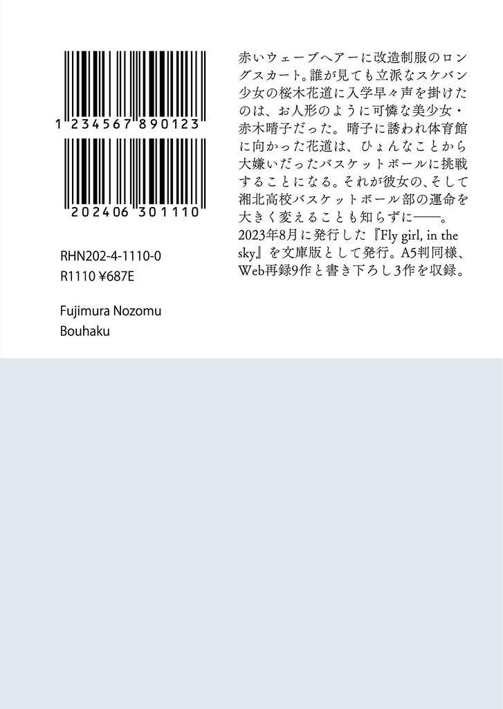 Fly girl, in the sky 1(文庫)
