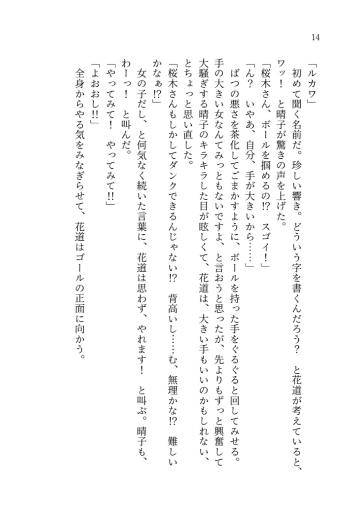 Fly girl, in the sky 1(文庫)