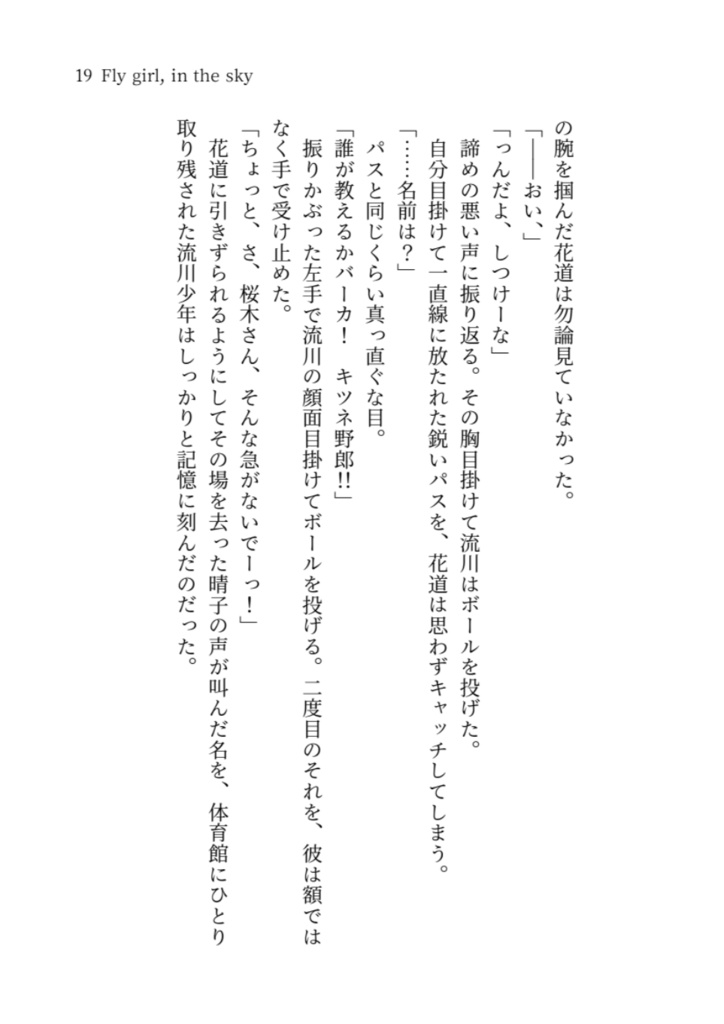 Fly girl, in the sky 1(文庫)