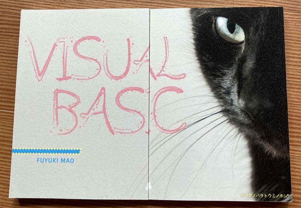 VISUAL BASIC　【あんしんBOOTHパック発送】