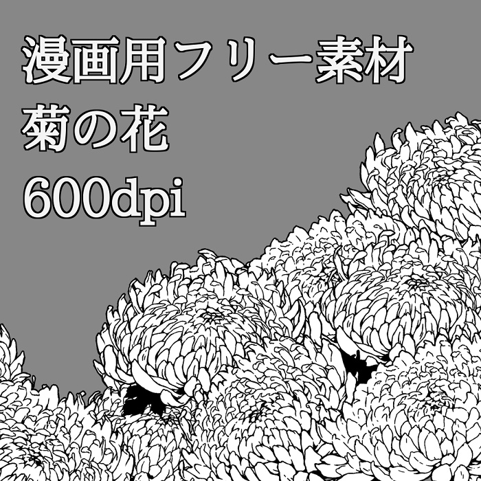 美しい花の画像 綺麗な花 線画 フリー