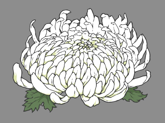 菊の花(線画と着色済み)