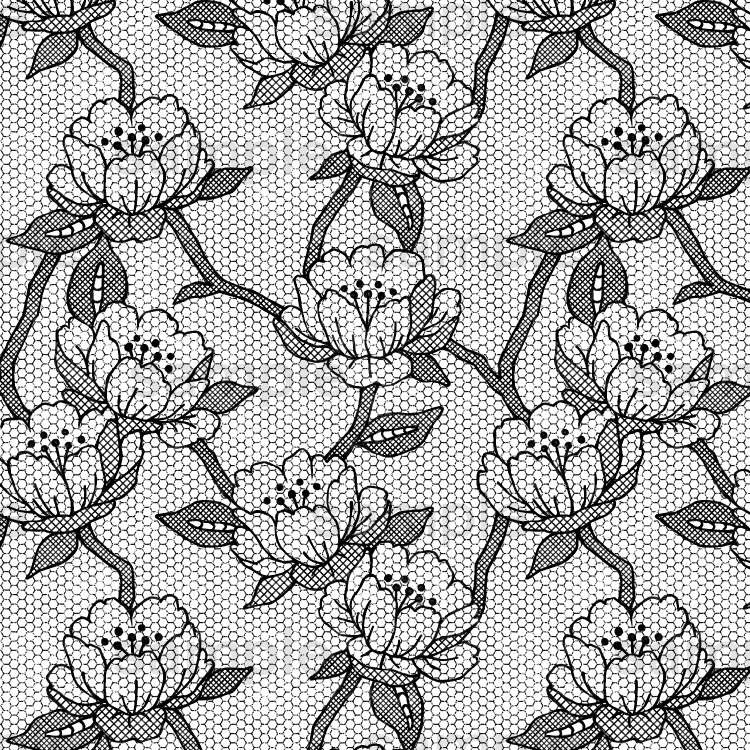 チュールレース集6(6種)