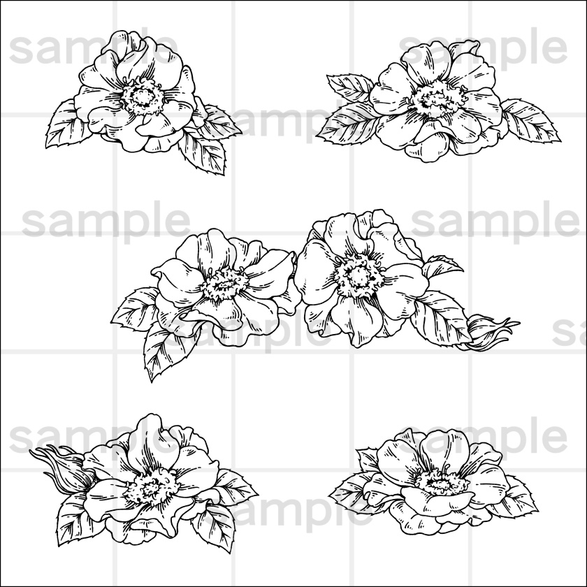 ペン画風の花のイラスト素材集