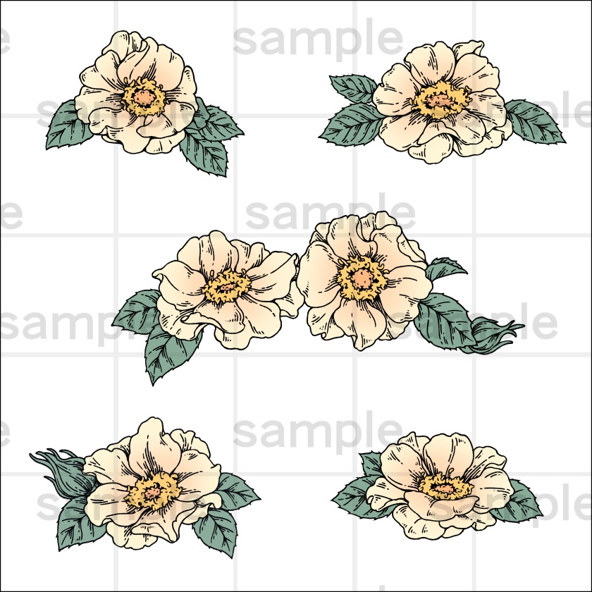 ペン画風の花のイラスト素材集