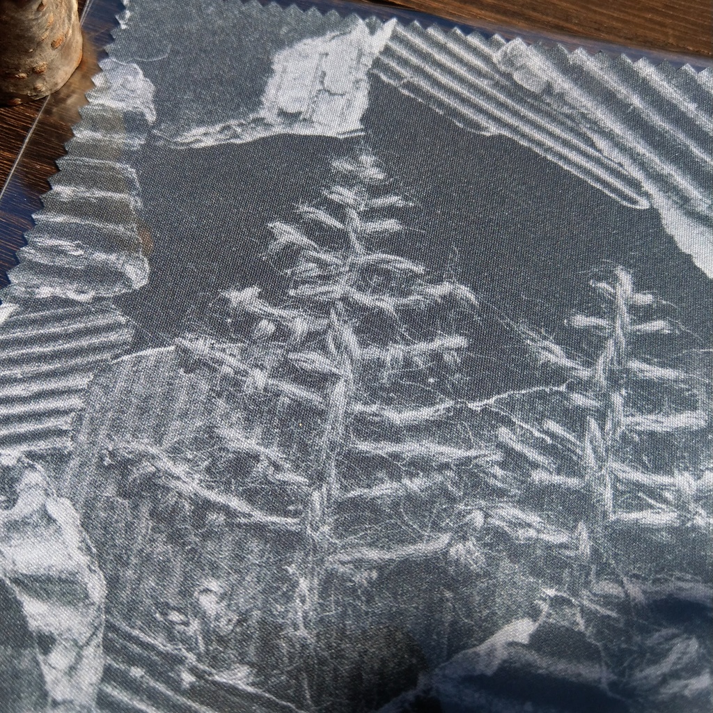 黒い森 メガネ拭き