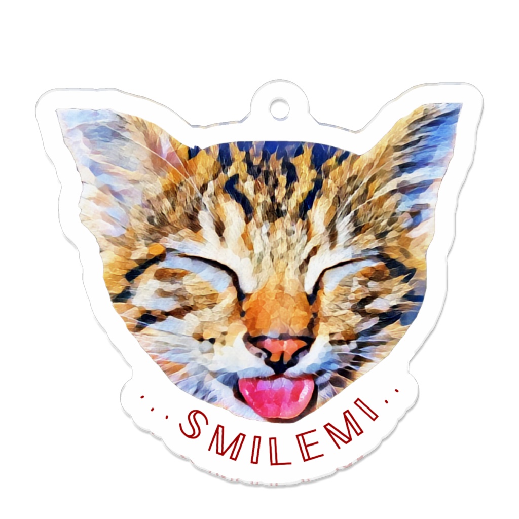 我が家の𝕋𝕆ℝ𝔸🐾