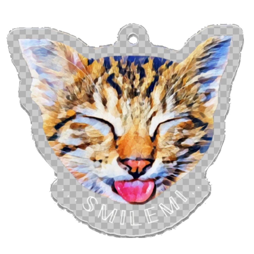 我が家の𝕋𝕆ℝ𝔸🐾