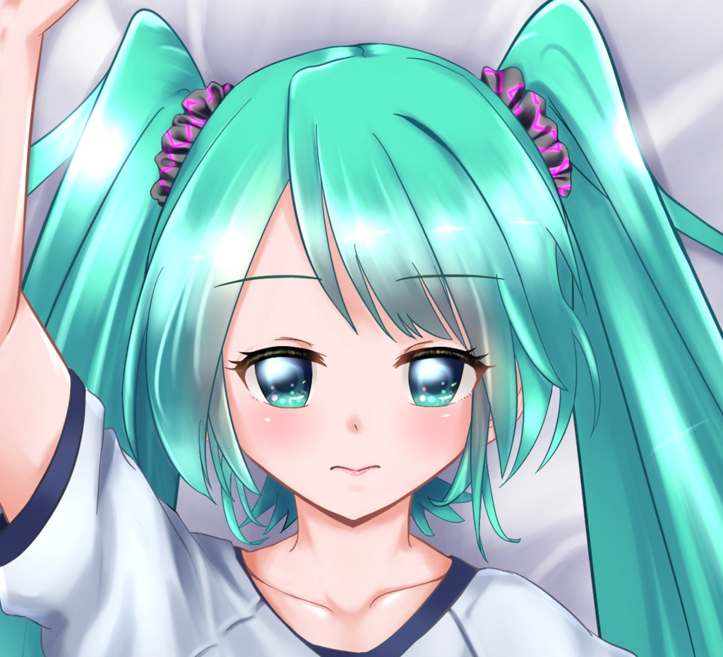 (C97)体操服姿ミクさん 抱き枕カバー(PixivFactory)