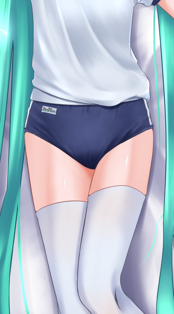 (C97)体操服姿ミクさん 抱き枕カバー(PixivFactory)