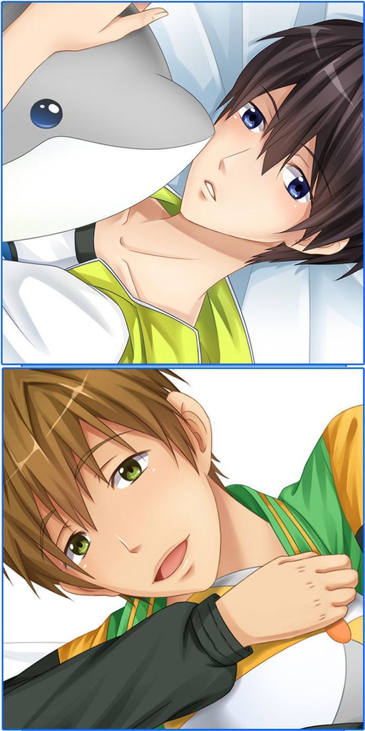 Free! 七瀬遙/橘真琴 抱き枕カバー 麦芽堂 bz12118