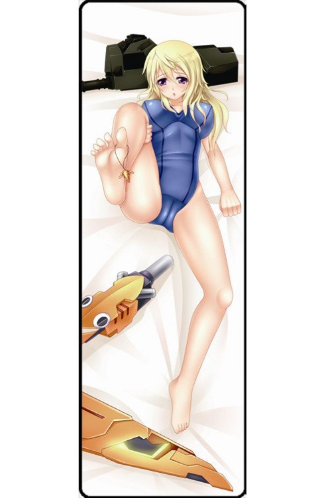 IS 〈インフィニット・ストラトス〉 シャルロット.デュノア タペストリー 麦芽堂 gbz10315-1