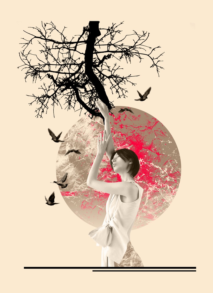 07 / tree【 待ち受け画像 】