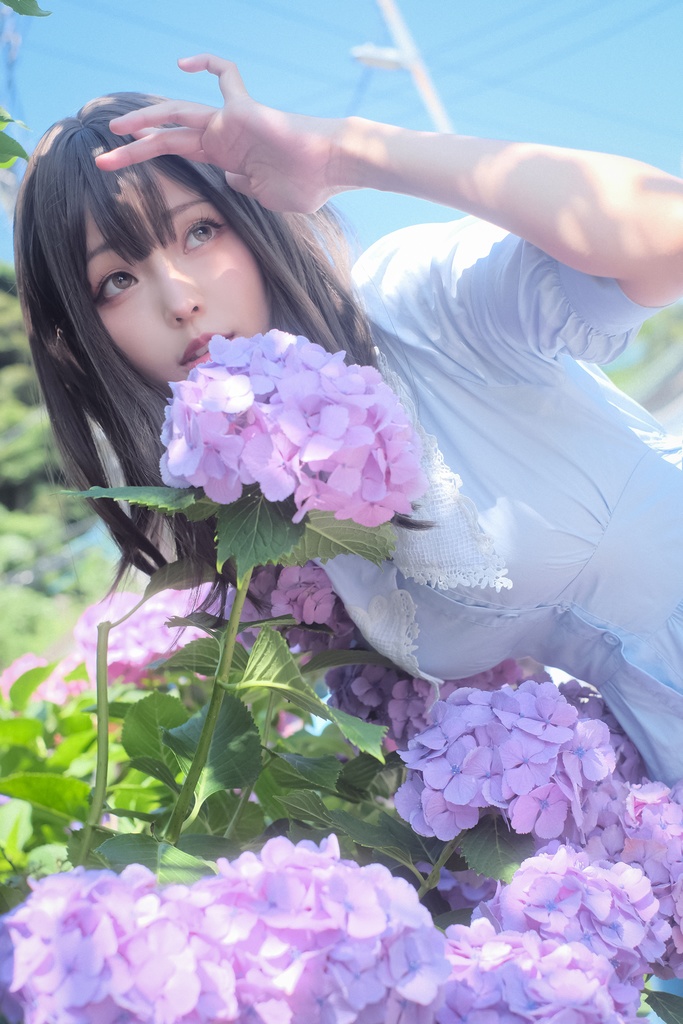 Ely【アジサイ】