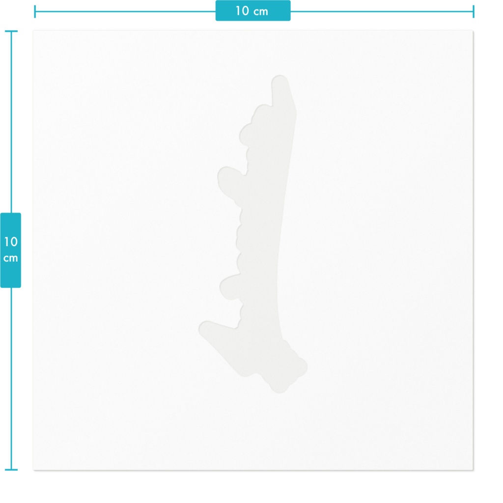 タイトルステッカー 小