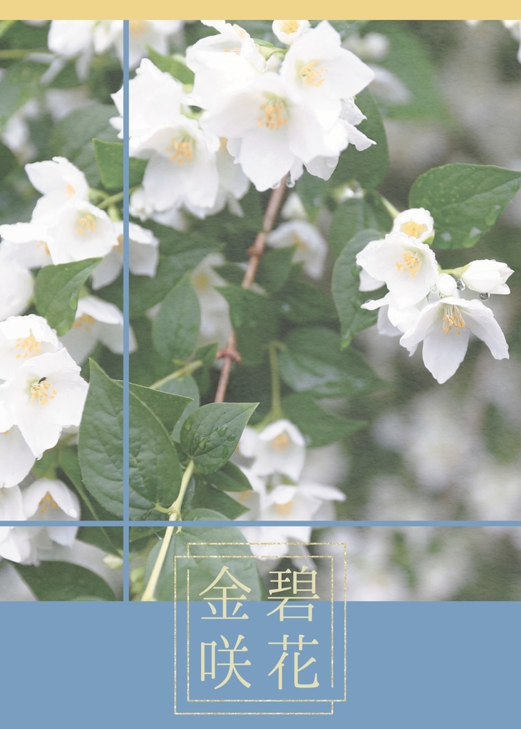 金碧咲花(ツキ)