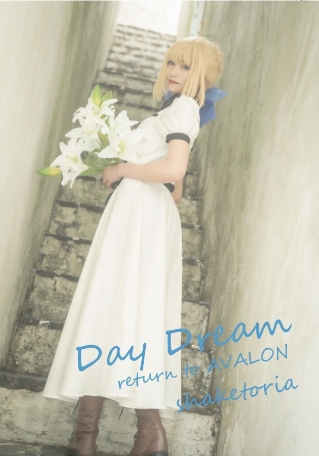 【C101コミケ手渡し予約!】Fate /staynight セイバー写真集「Day Dream Return to AVALON」