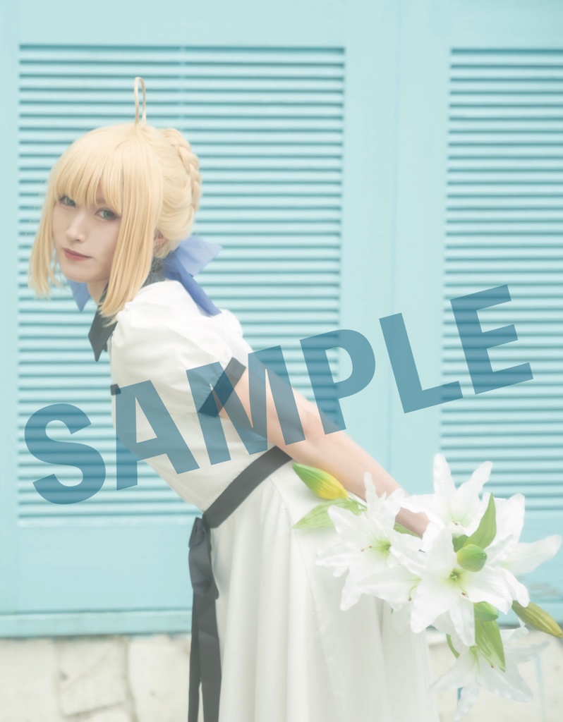 【C101コミケ手渡し予約!】Fate /staynight セイバー写真集「Day Dream Return to AVALON」