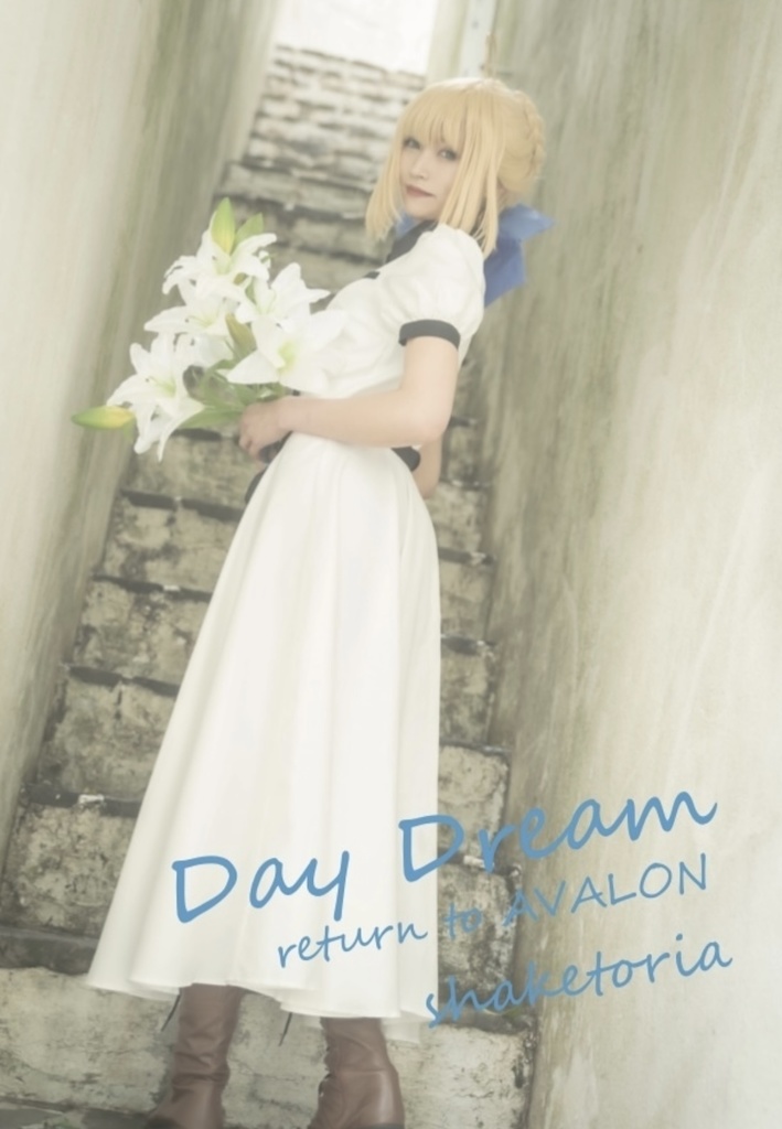 【PDF版】Fate /staynight セイバー写真集「Day Dream Return to AVALON」