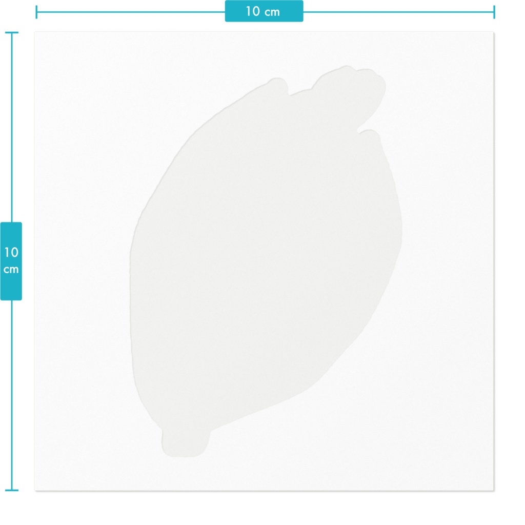 おやさい(とうもろこし)ステッカー