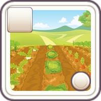 【ココフォリアボードゲーム】NATION CRAFT