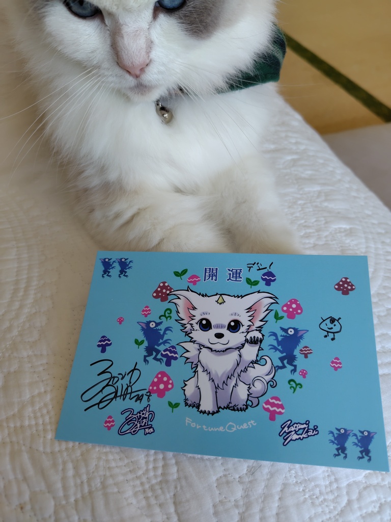 欽ちゃん セット　直筆サイン入り 招福シロちゃんカードセット(直筆サイン入+サインなし) - FQケッコー