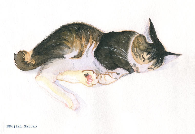 ポストカード（猫）