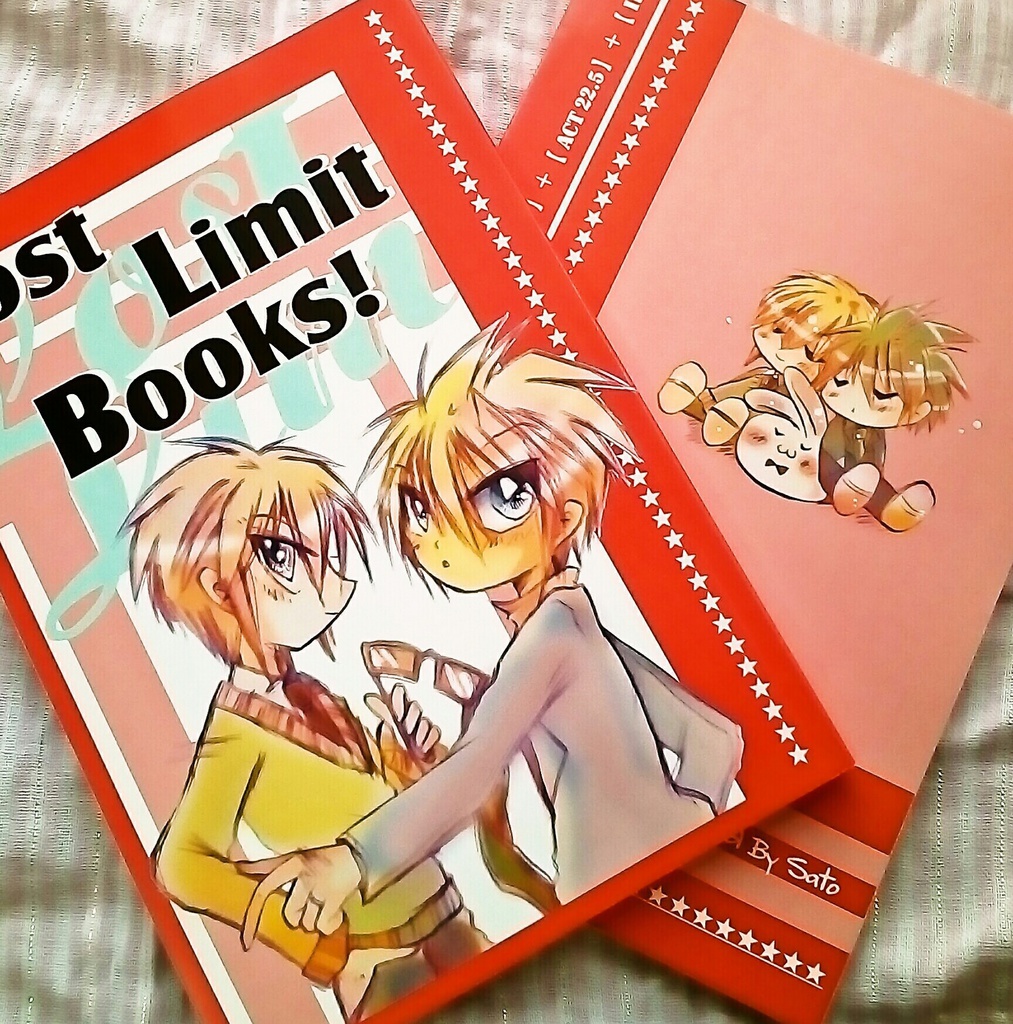 Lost Limit books!