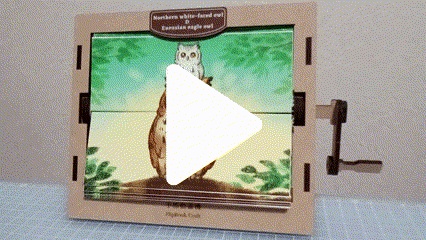 フリップブッククラフト(アニメーション再生装置) 手作りキット 【ふくろうコンビ】