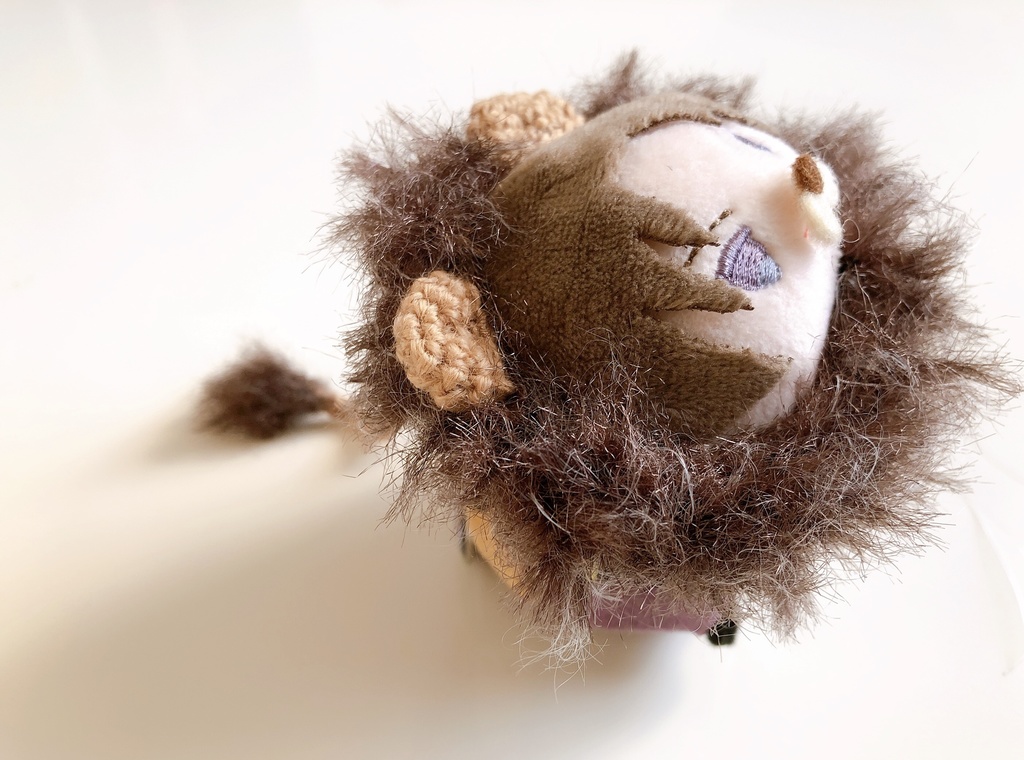 ライオンセット