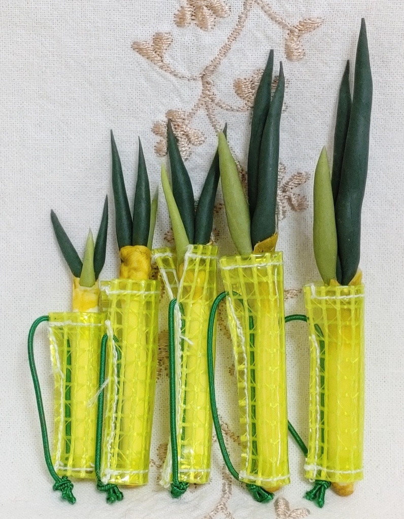 「ダヨちゃんに捧ぐ ネギバッグ」2種&ネギボウズ帽子