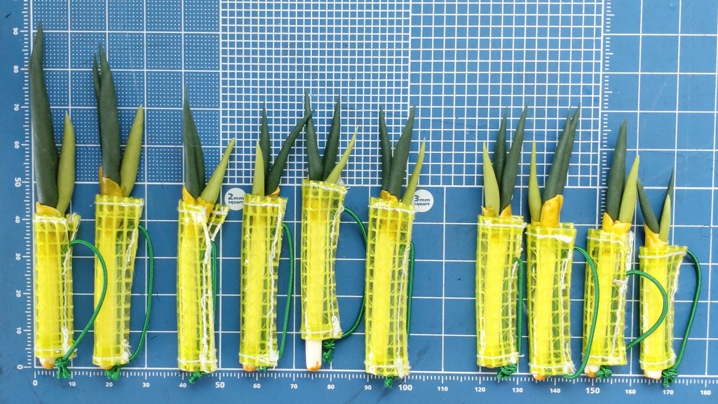 「ダヨちゃんに捧ぐ ネギバッグ」2種&ネギボウズ帽子