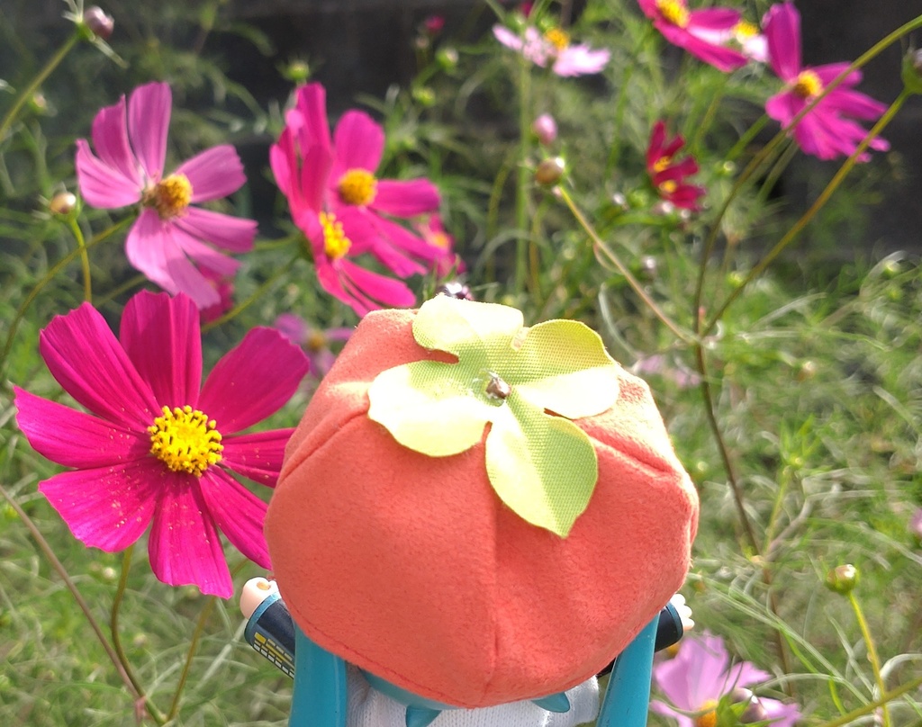 【made in rabbit field】秋のねんどろ帽子(ねんどーる・オビツろいど対応)