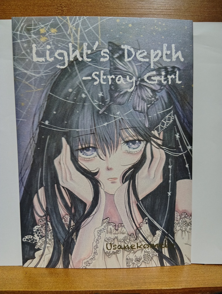 Light’s Depth -Stray Girl（イラスト+詩集）