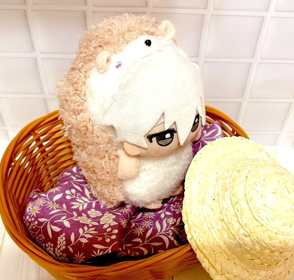 ふわもこハリネズミさん