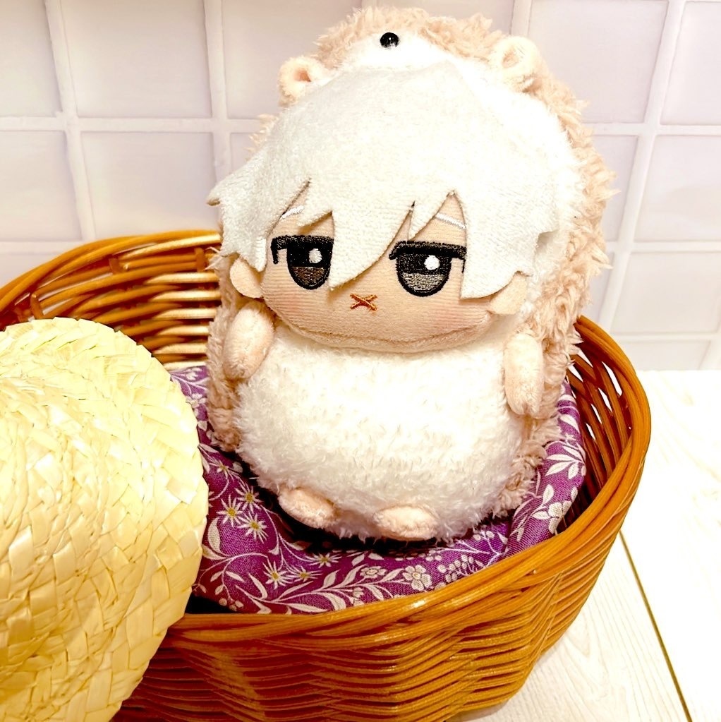 ふわもこハリネズミさん